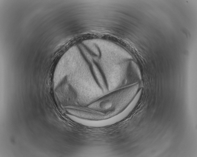 X0000112101110200909011119