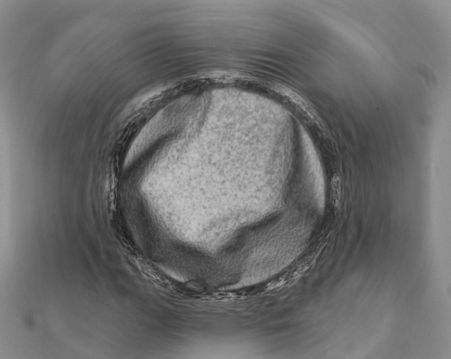 X0000112101111200909011119
