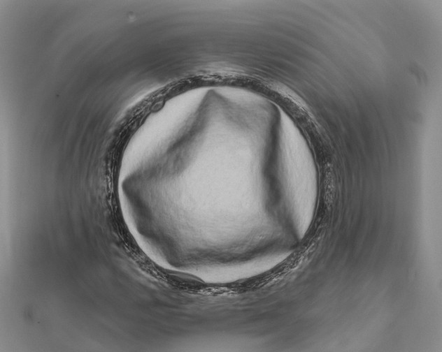 X0000112101112200909011119