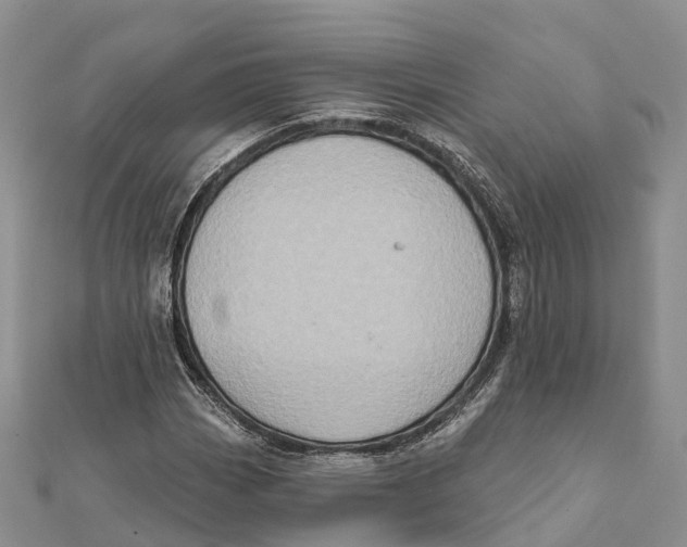 X0000112101113200909011119