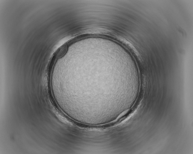 X0000112101114200909011119