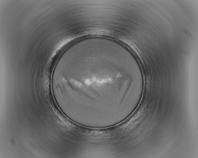 X0000112101115200909011119