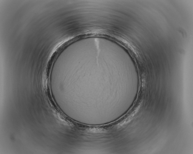 X0000112101117200909011119