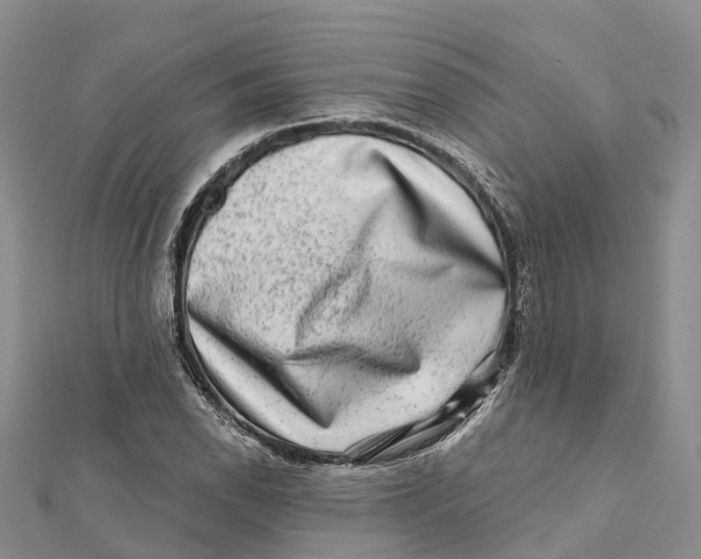 X0000112101118200909011119