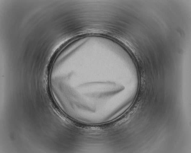 X0000112101119200909011119