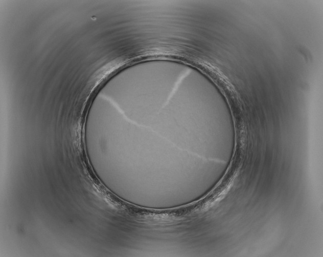 X0000112101121200909011119