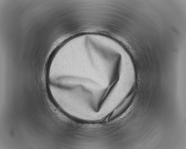 X0000112101122200909011119