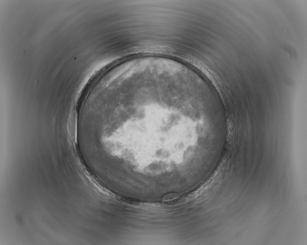 X0000112101123200909011119