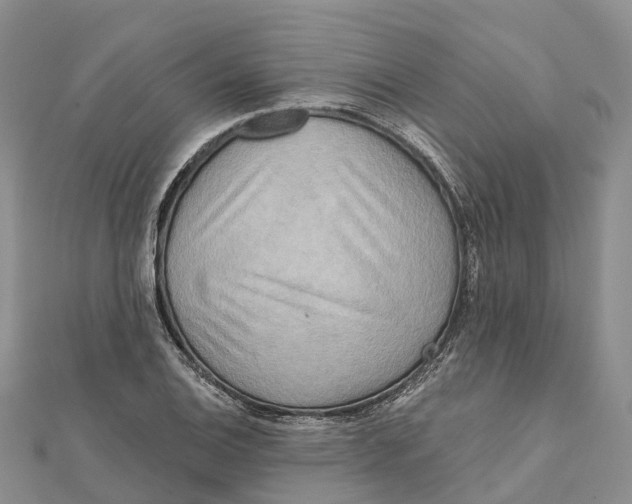 X0000112101124200909011119