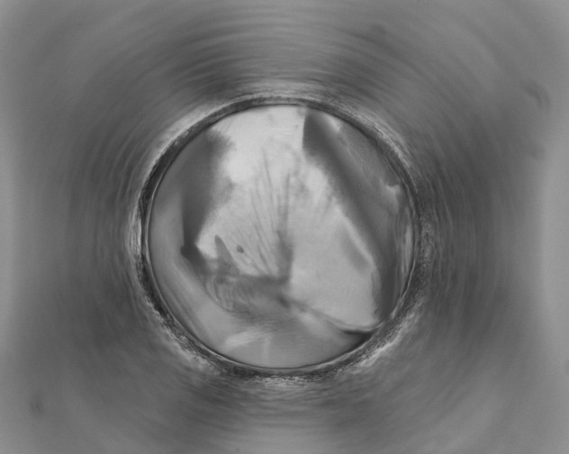 X0000112101125200909011119
