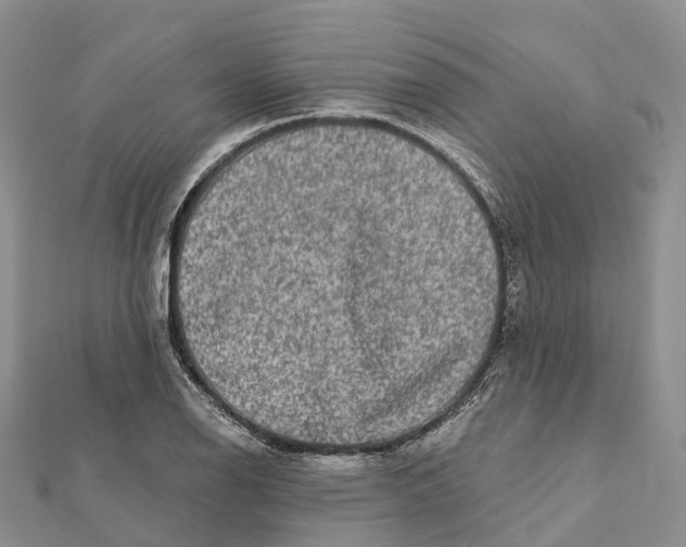 X0000112101126200909011119