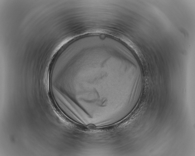 X0000112101127200909011119