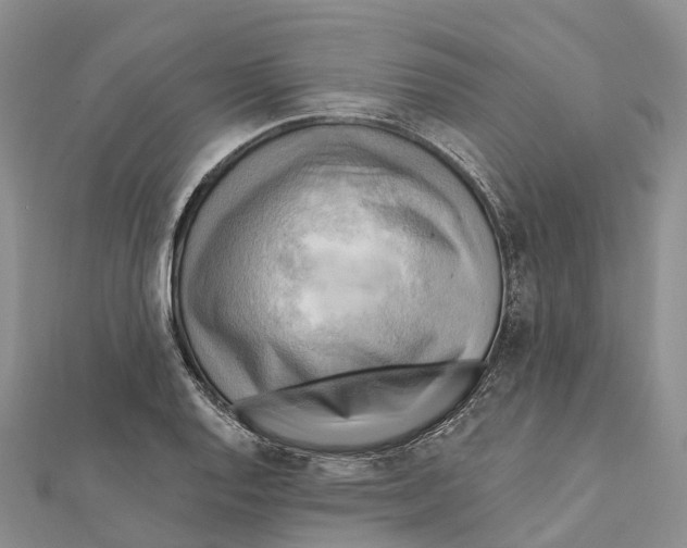 X0000112101128200909011119