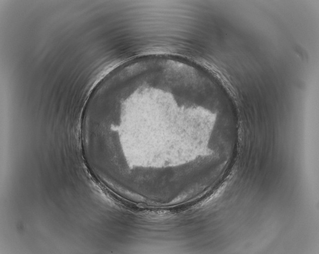 X0000112101129200909011119