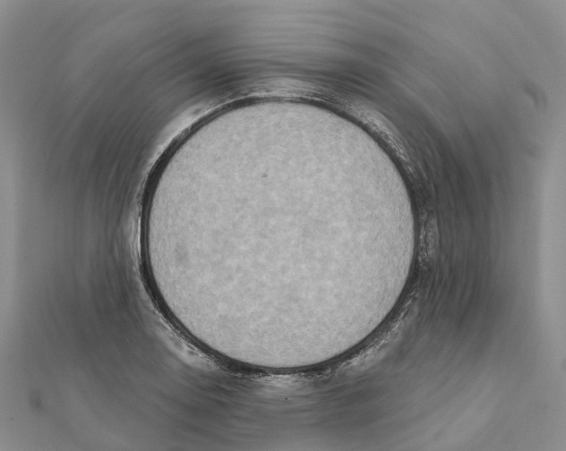 X0000112101130200909011119