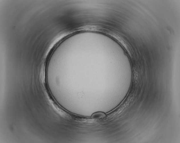 X0000112101131200909011119