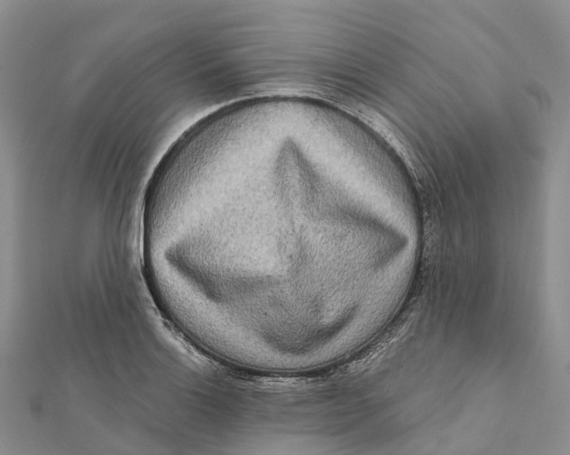 X0000112101132200909011119