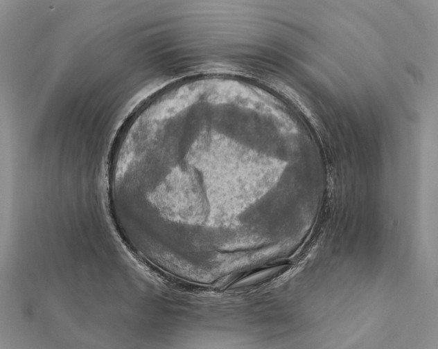 X0000112101133200909011119