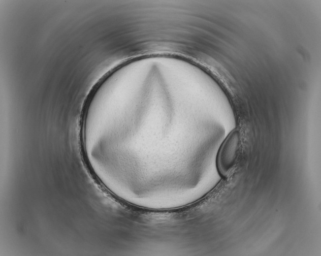 X0000112101134200909011119