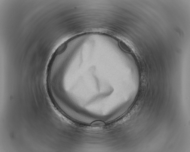 X0000112101135200909011119