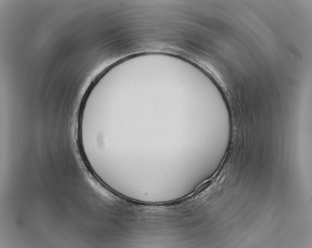 X0000112101136200909011119