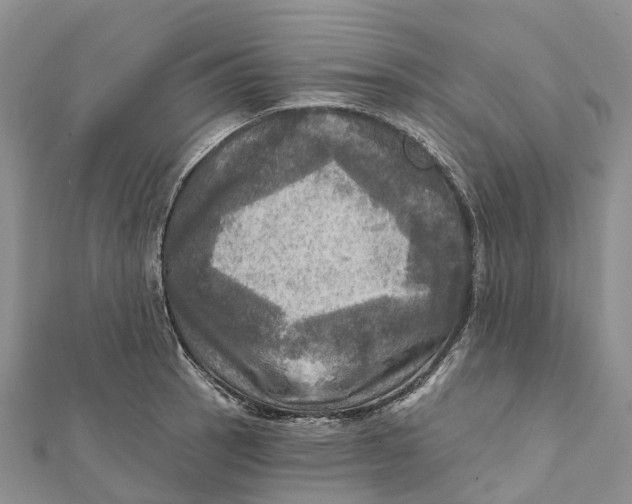 X0000112101137200909011119