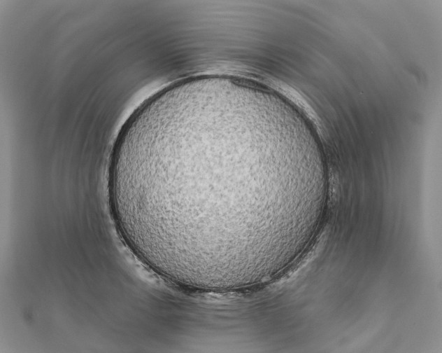 X0000112101138200909011119