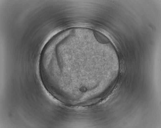 X0000112101139200909011119