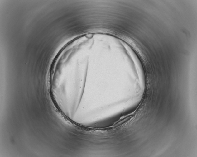 X0000112101140200909011119