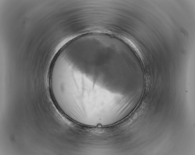X0000112101141200909011119