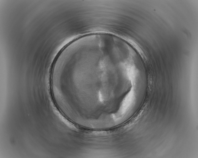 X0000112101142200909011119