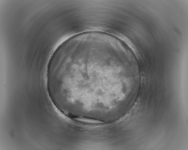 X0000112101143200909011119