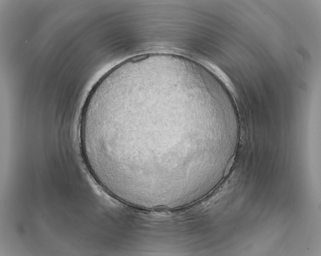 X0000112101144200909011119