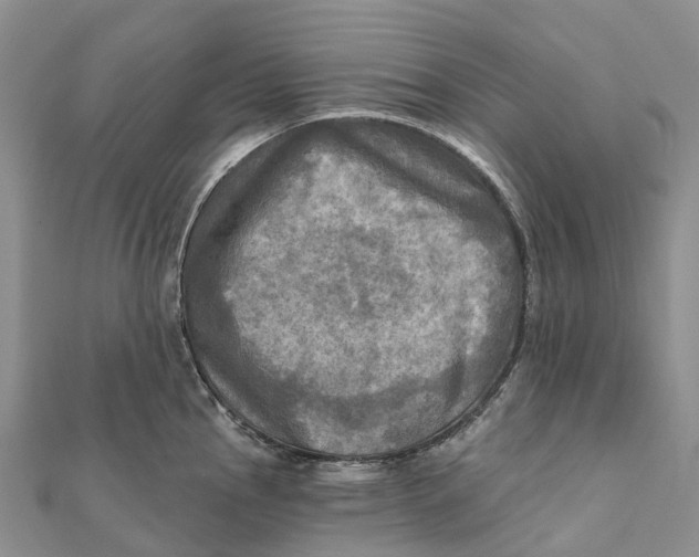 X0000112101145200909011119
