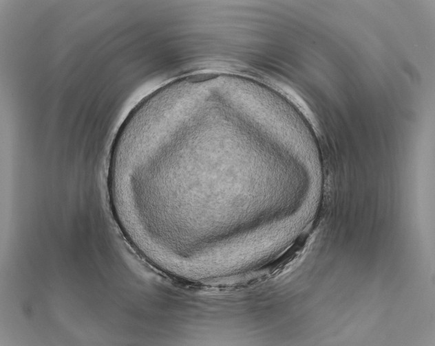 X0000112101146200909011119