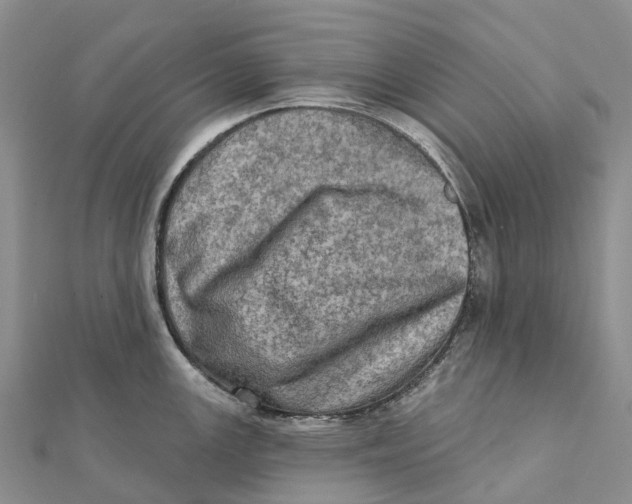 X0000112101147200909011119