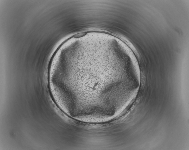 X0000112101148200909011119