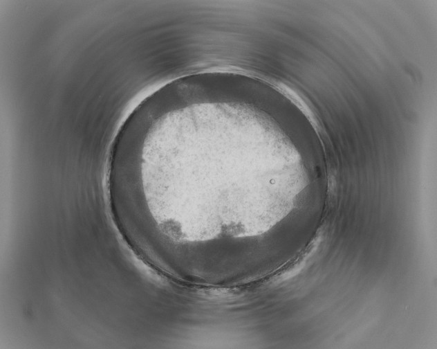 X0000112101149200909011119