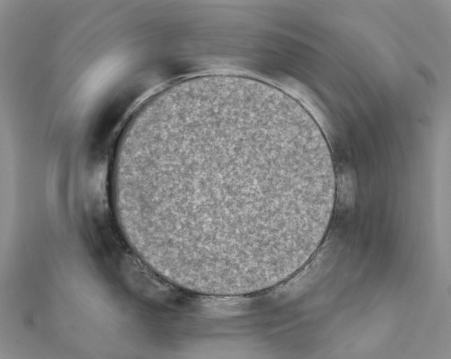 X0000112101150200909011119