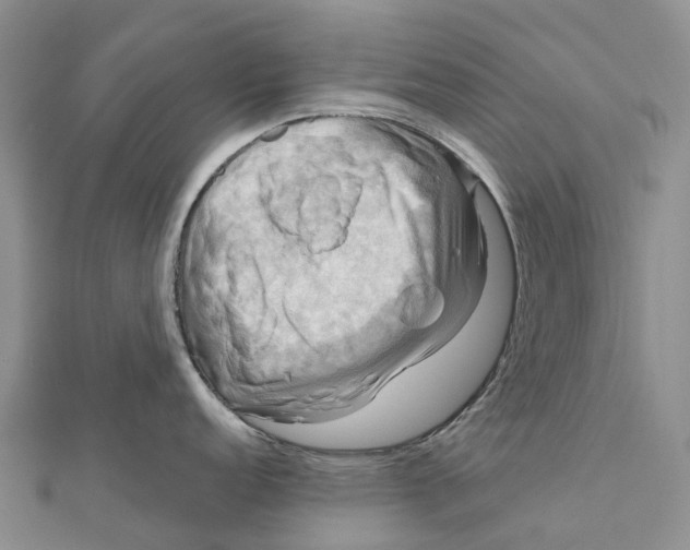 X0000112101152200909011119