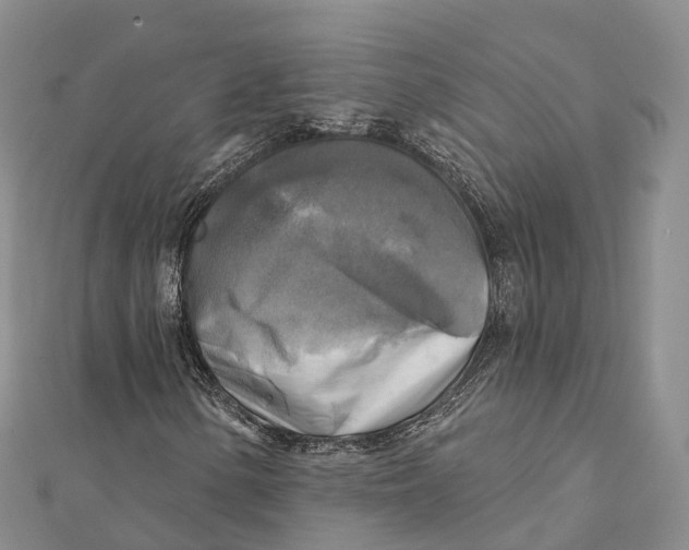 X0000112101154200909011119