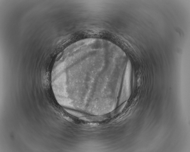 X0000112101156200909011118