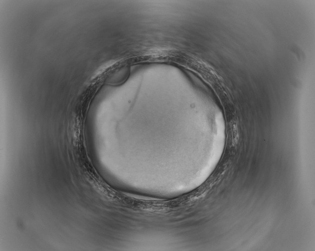 X0000112101158200909011118