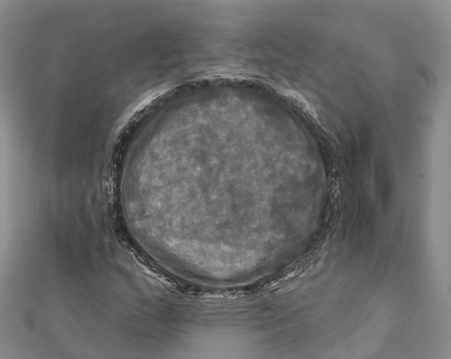 X0000112101159200909011118