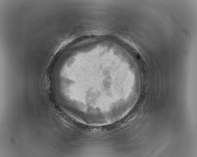 X0000112101160200909011118