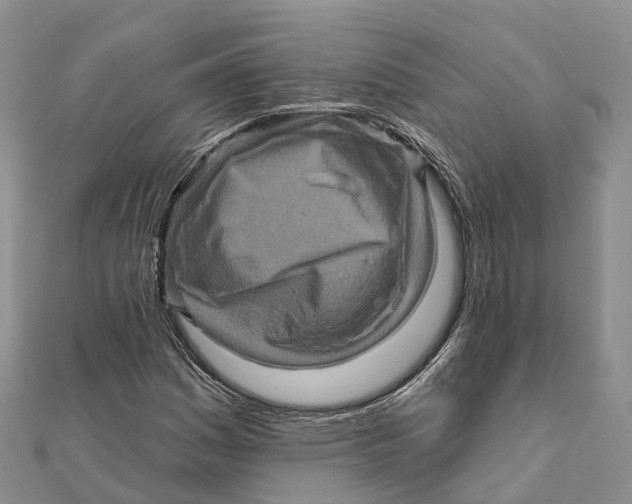X0000112101161200909011118