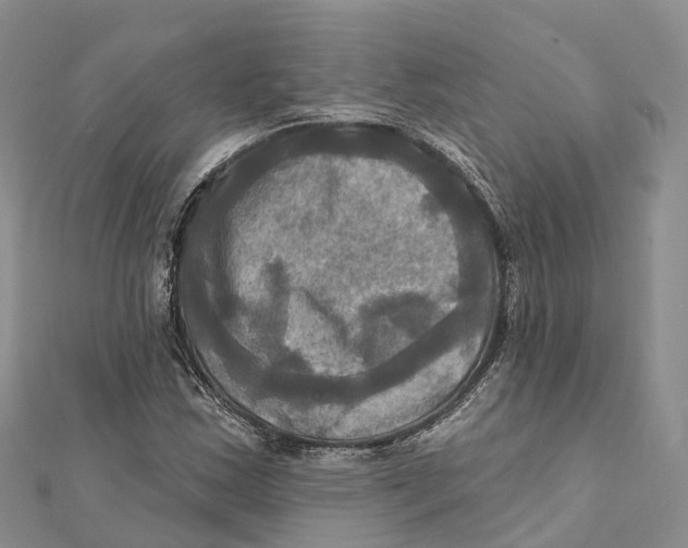 X0000112101163200909011118