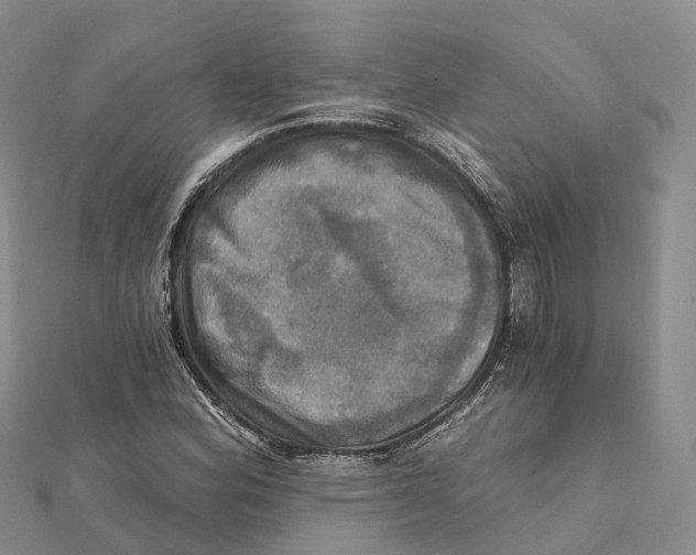 X0000112101164200909011118