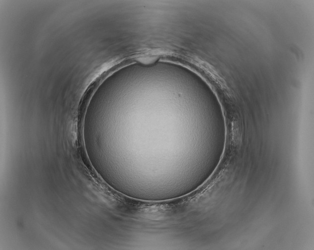 X0000112101165200909011118