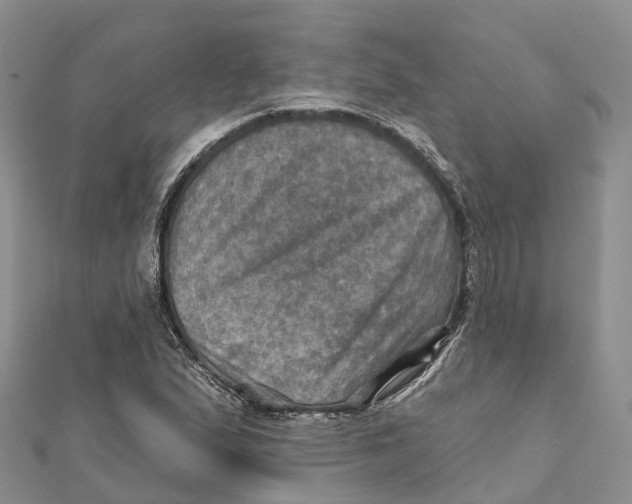 X0000112101167200909011118